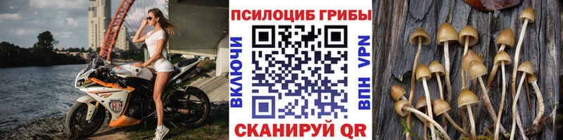 Галлюциногенные грибы GOLDEN TEACHER Электроугли